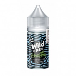 Longfill WILD ICE 10ml